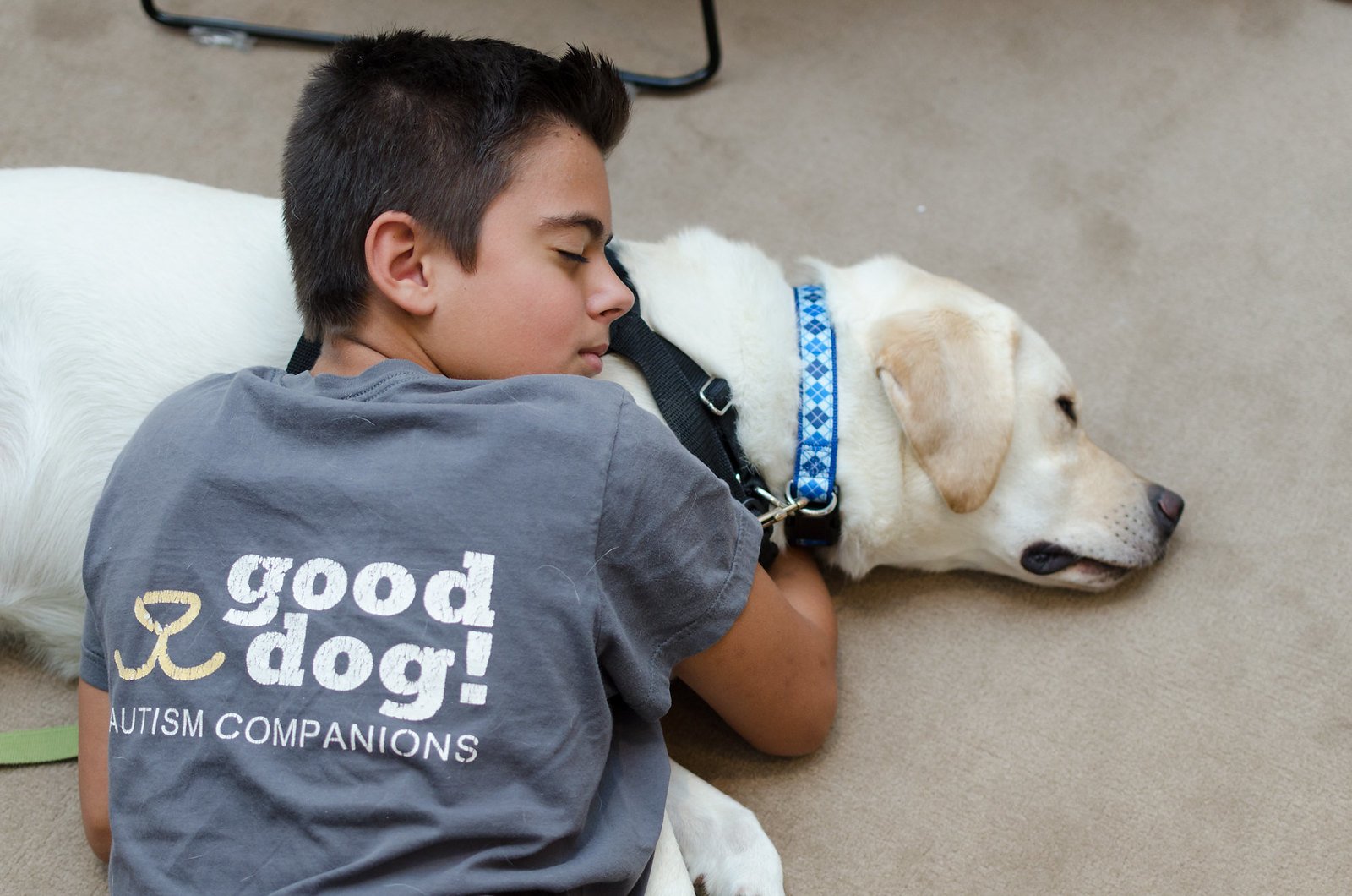 Asistenční pes je pro dítě s PAS pomocník i komunikační most